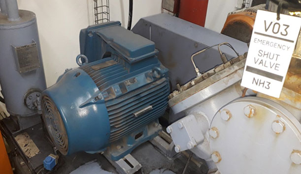 RCM-3